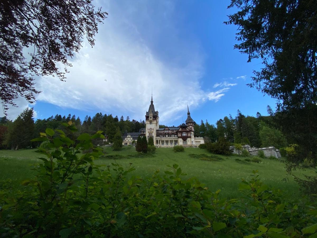 Vila De Argint Aleea Pelesului Nr 2 Sinaia Eksteriør billede