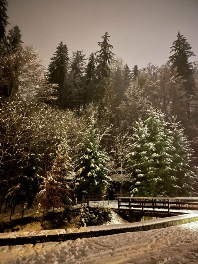 Vila De Argint Aleea Pelesului Nr 2 Sinaia Eksteriør billede