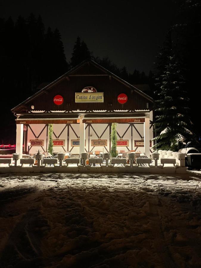 Vila De Argint Aleea Pelesului Nr 2 Sinaia Eksteriør billede