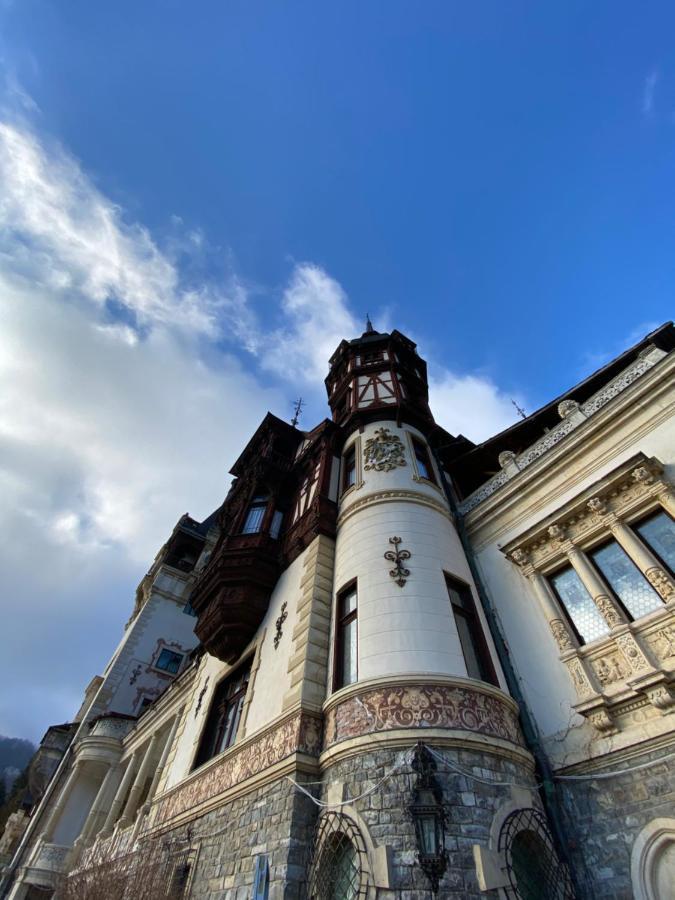 Vila De Argint Aleea Pelesului Nr 2 Sinaia Eksteriør billede
