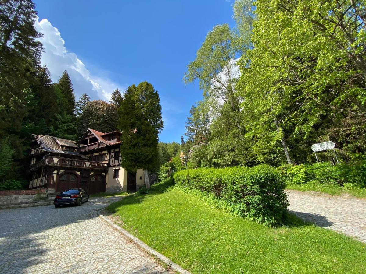 Vila De Argint Aleea Pelesului Nr 2 Sinaia Eksteriør billede