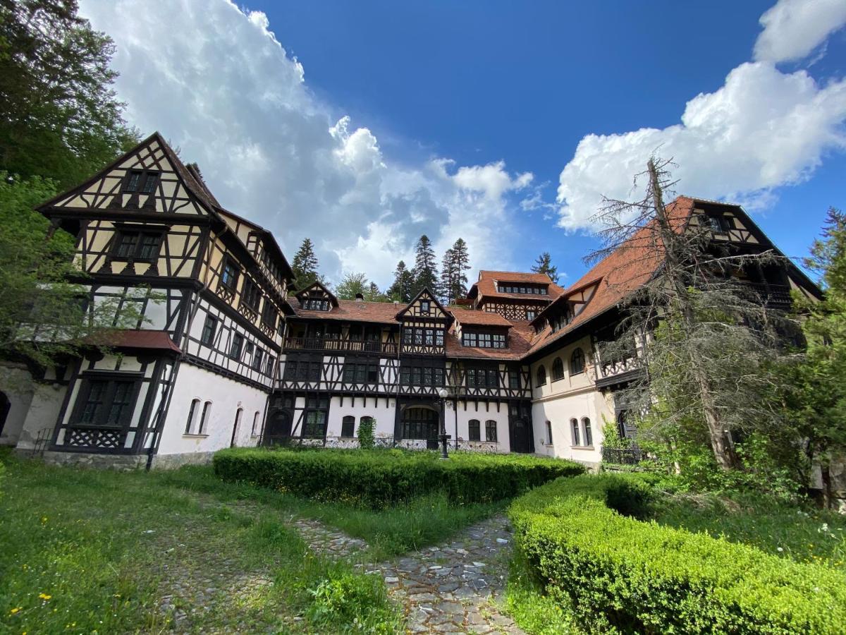 Vila De Argint Aleea Pelesului Nr 2 Sinaia Eksteriør billede