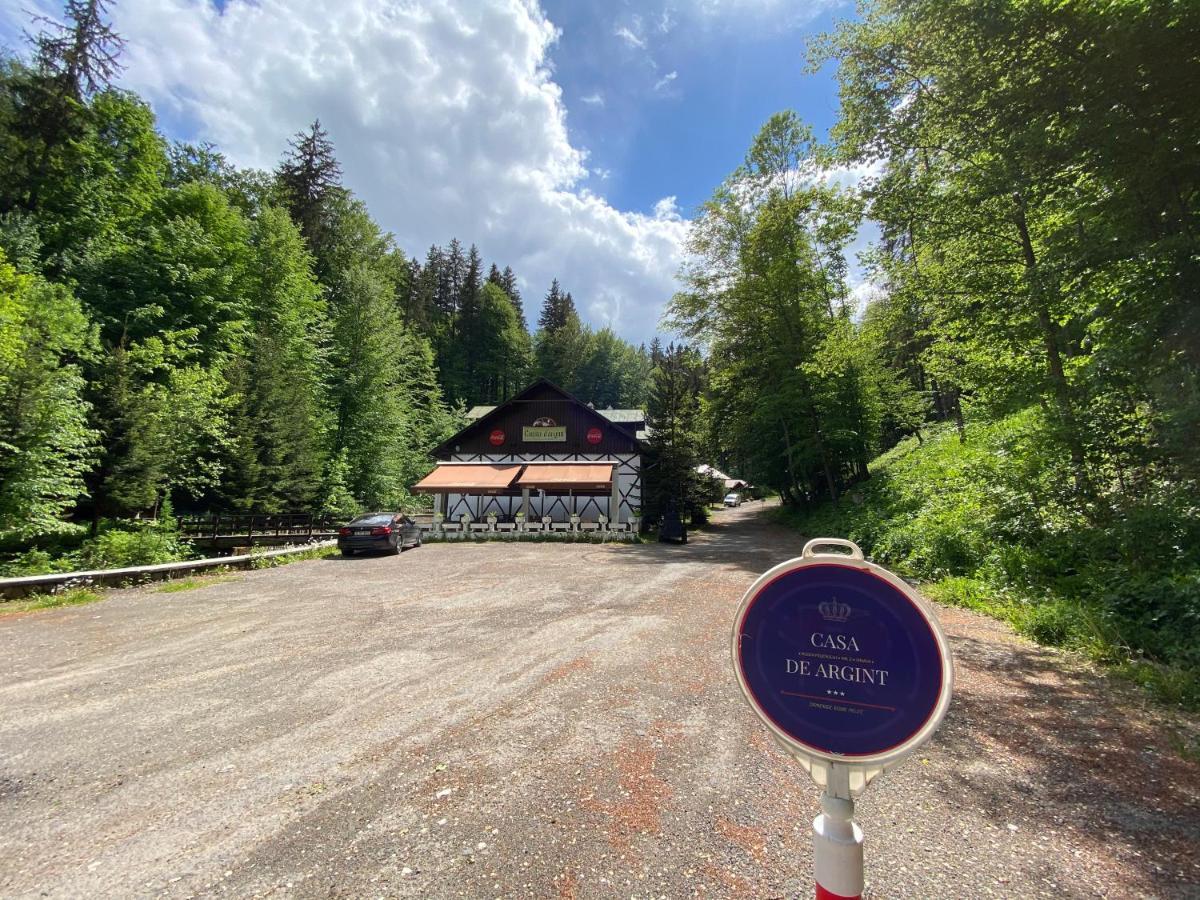 Vila De Argint Aleea Pelesului Nr 2 Sinaia Eksteriør billede