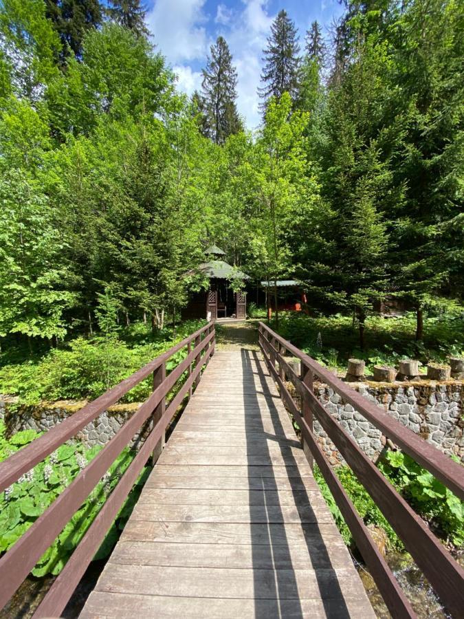 Vila De Argint Aleea Pelesului Nr 2 Sinaia Eksteriør billede