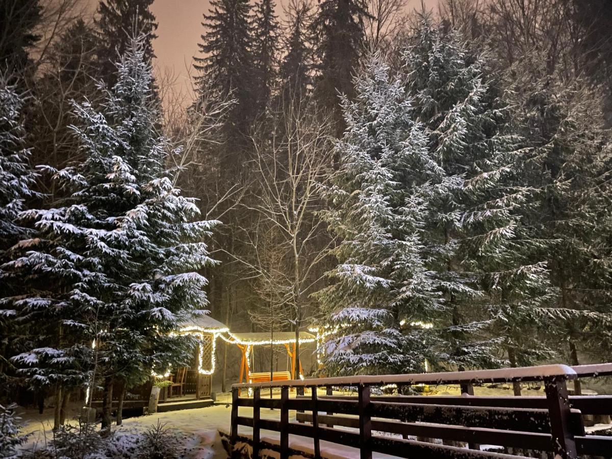 Vila De Argint Aleea Pelesului Nr 2 Sinaia Eksteriør billede