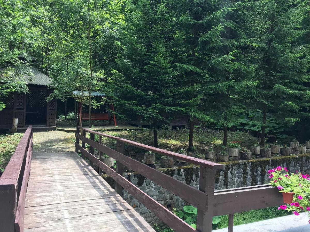 Vila De Argint Aleea Pelesului Nr 2 Sinaia Eksteriør billede